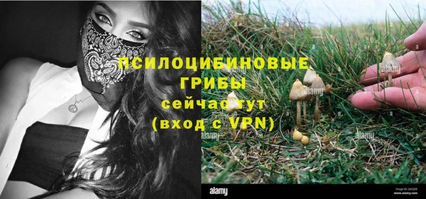 ешки Белоозёрский