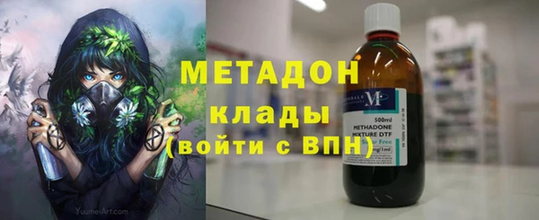 прущие грибы Горнозаводск
