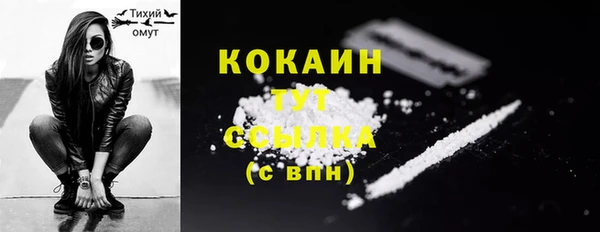 прущие грибы Баксан