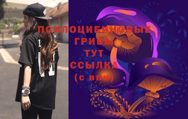 кокаин Белокуриха