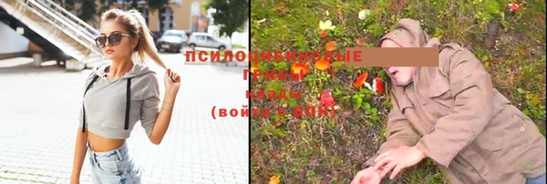 кокаин Белокуриха