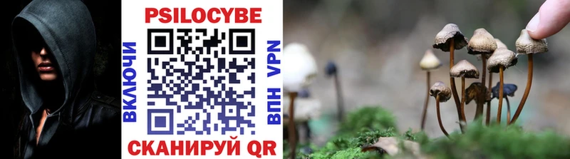 kraken ONION  Беслан  Псилоцибиновые грибы прущие грибы 